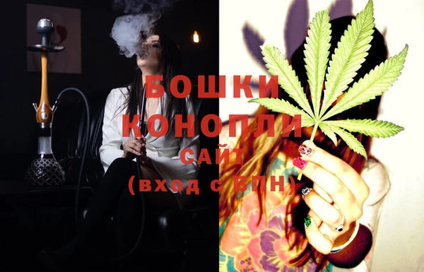 PSILOCYBIN Магас