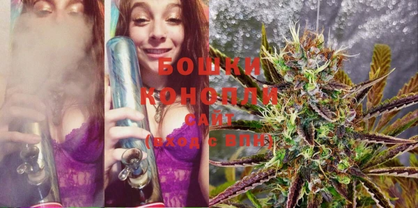 PSILOCYBIN Магас