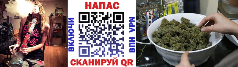 Канабис AK-47 закладка маркетплейс какой сайт Сураж